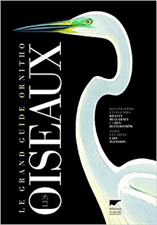 le grand guide ornitho - le guide ornitho - Mullarney, Svensson, Zetterstrom - delachaux - plumages.fr