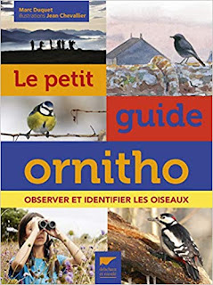 Le petit guide ornitho - Duquet - delachaux - plumages.fr