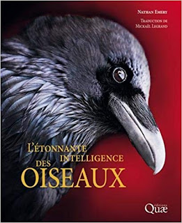 L'étonnante intelligence des oiseaux - Legrand, Emery - Quae - plumages.fr