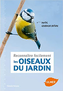 reconnaitre facilement les oiseaux du jardin - Strauss - Ulmer - plumages.fr
